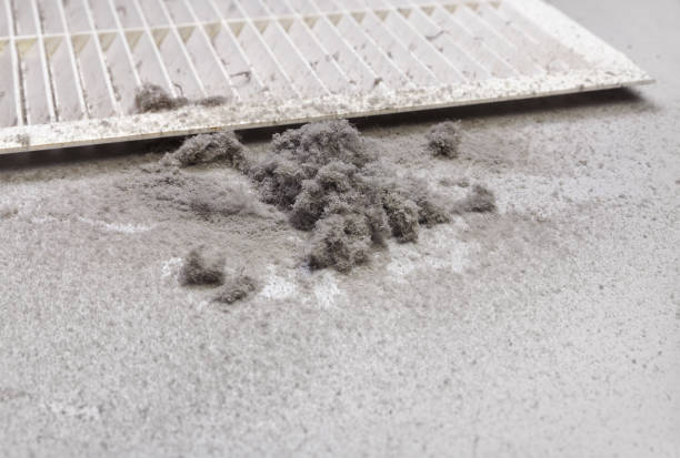 Best Professional Duct Cleaning Services  in Catalina Foothills, AZ