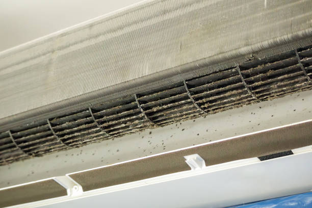 Best Ductwork Cleaning Services  in Catalina Foothills, AZ
